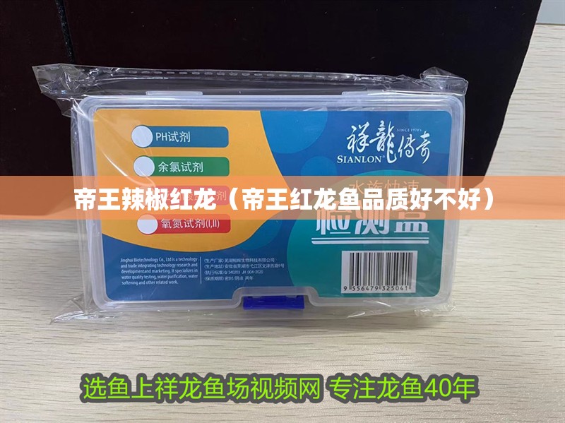 帝王辣椒紅龍（帝王紅龍魚品質好不好）