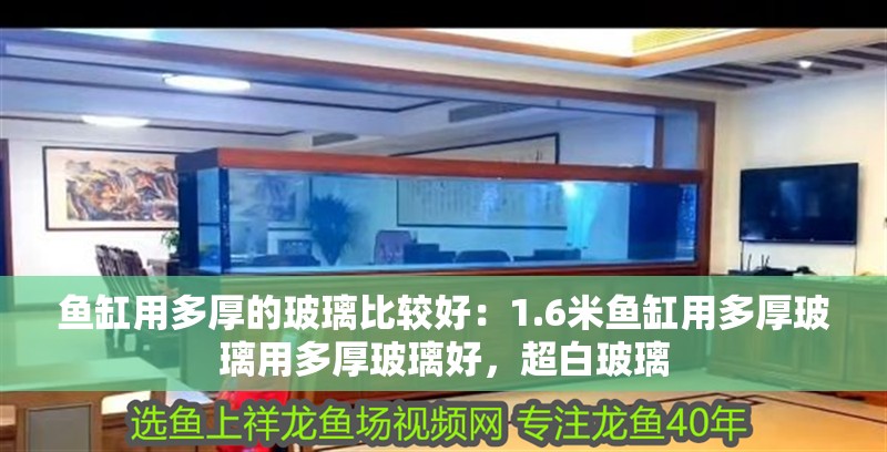 魚缸用多厚的玻璃比較好：1.6米魚缸用多厚玻璃用多厚玻璃好，超白玻璃