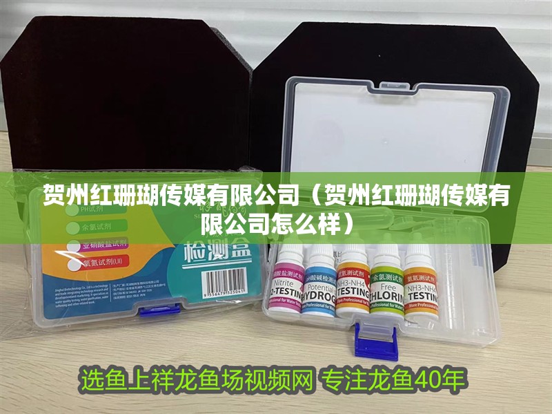 賀州紅珊瑚傳媒有限公司（賀州紅珊瑚傳媒有限公司怎么樣）