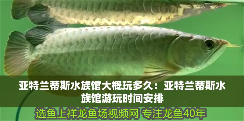 亞特蘭蒂斯水族館大概玩多久：亞特蘭蒂斯水族館游玩時間安排