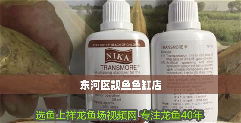 東河區靚魚魚缸店