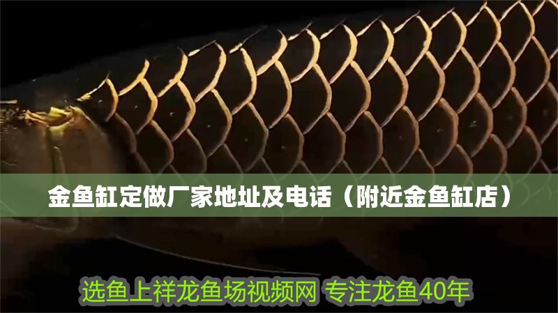 金魚缸定做廠家地址及電話（附近金魚缸店）