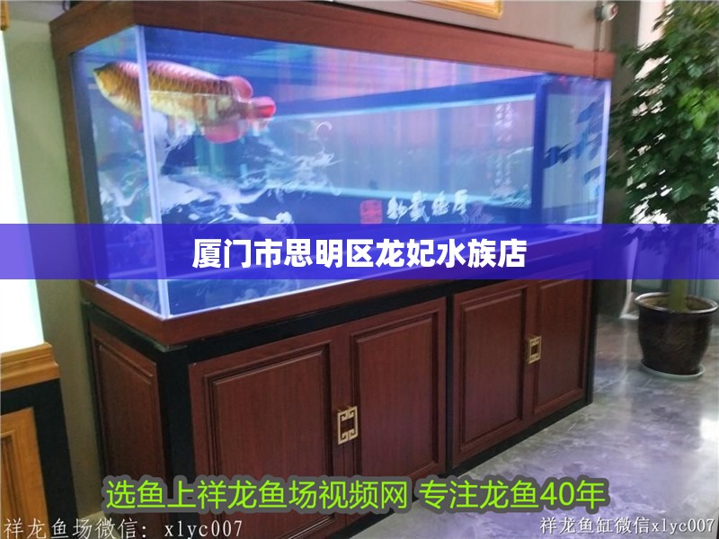 廈門市思明區(qū)龍妃水族店 廈門市思明區(qū)龍妃水族店 全國水族館企業(yè)名錄