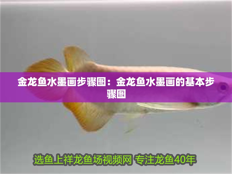 金龍魚水墨畫步驟圖：金龍魚水墨畫的基本步驟圖