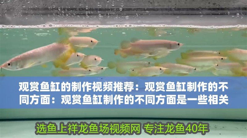 觀賞魚缸的制作視頻推薦：觀賞魚缸制作的不同方面：觀賞魚缸制作的不同方面是一些相關(guān)的視頻推薦：