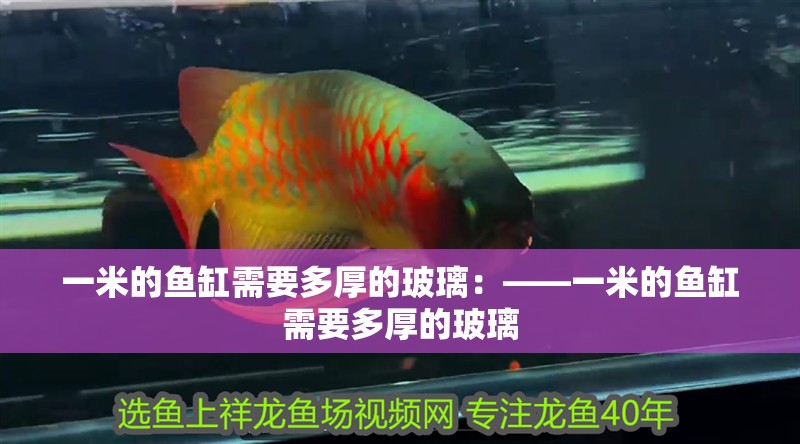 一米的魚缸需要多厚的玻璃：——一米的魚缸需要多厚的玻璃
