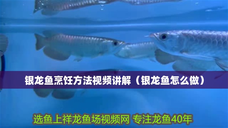 銀龍魚烹飪方法視頻講解（銀龍魚怎么做）