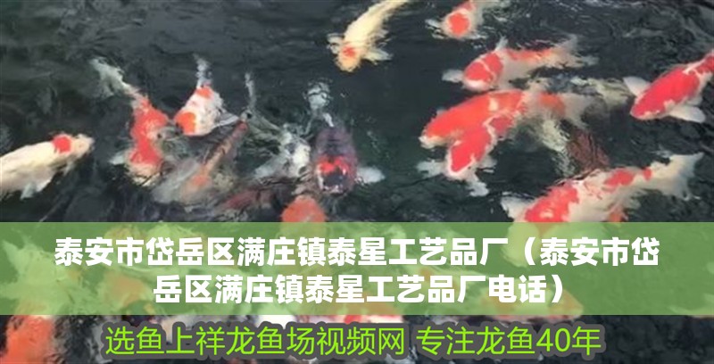 泰安市岱岳區滿莊鎮泰星工藝品廠（泰安市岱岳區滿莊鎮泰星工藝品廠電話）