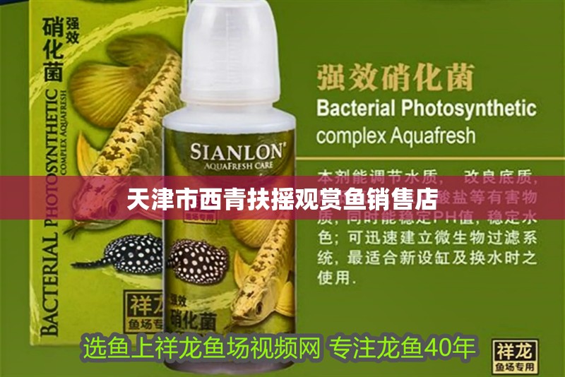 天津市西青扶搖觀賞魚銷售店