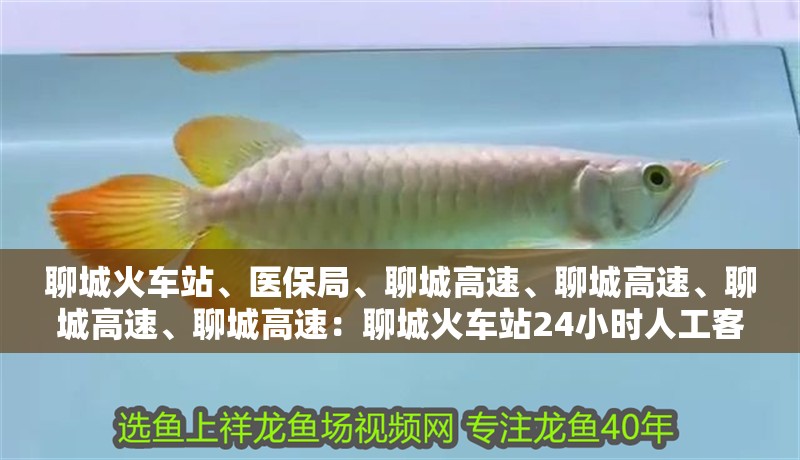 聊城火車站、醫保局、聊城高速、聊城高速、聊城高速、聊城高速：聊城火車站24小時人工客服電話號碼前加撥長途區號