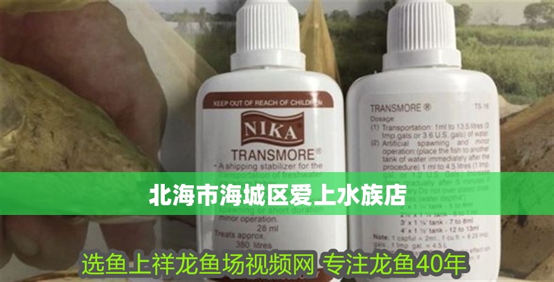 北海市海城區愛上水族店