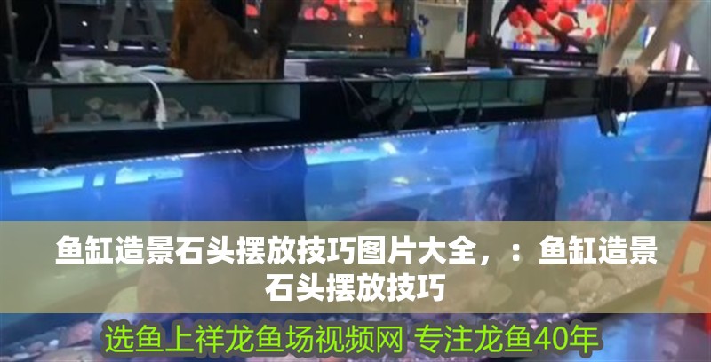 魚缸造景石頭擺放技巧圖片大全，：魚缸造景石頭擺放技巧
