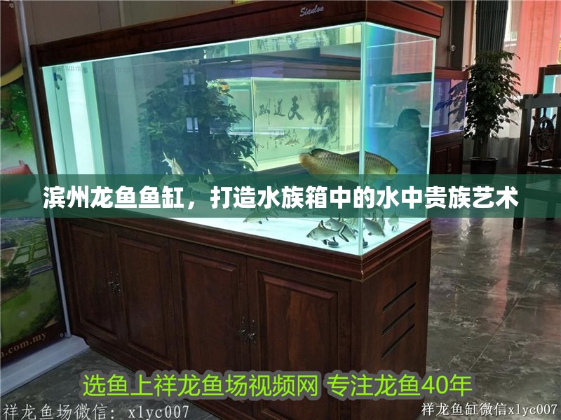 濱州龍魚魚缸，打造水族箱中的水中貴族藝術