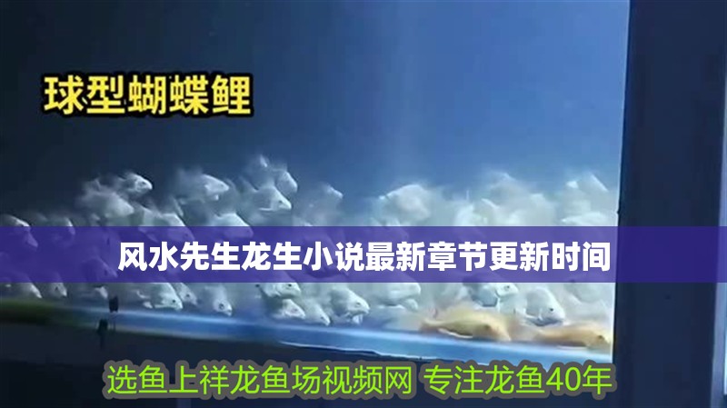 風水先生龍生小說最新章節更新時間