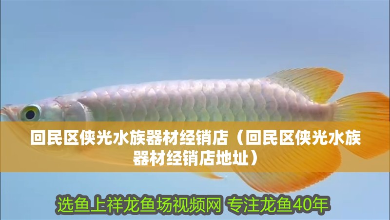 回民區(qū)俠光水族器材經銷店（回民區(qū)俠光水族器材經銷店地址）