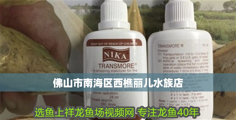 佛山市南海區西樵麗兒水族店