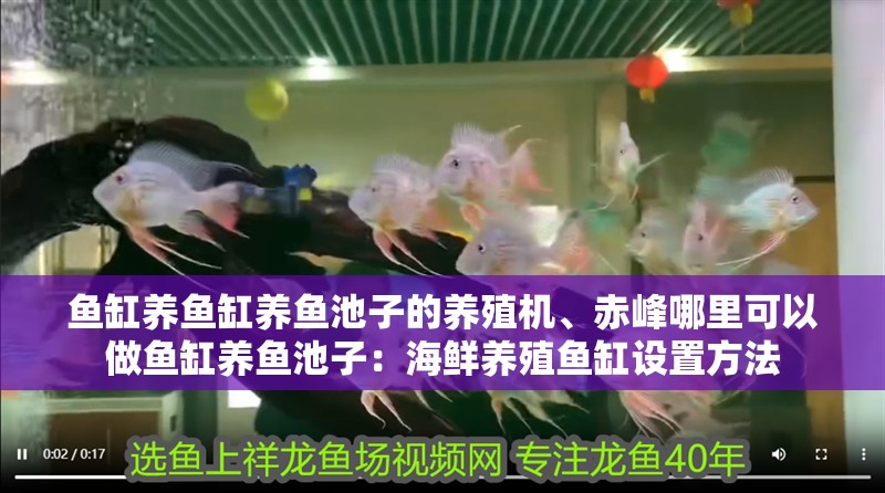 魚缸養(yǎng)魚缸養(yǎng)魚池子的養(yǎng)殖機、赤峰哪里可以做魚缸養(yǎng)魚池子：海鮮養(yǎng)殖魚缸設置方法