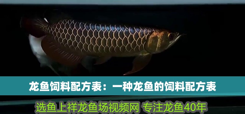 龍魚飼料配方表：一種龍魚的飼料配方表