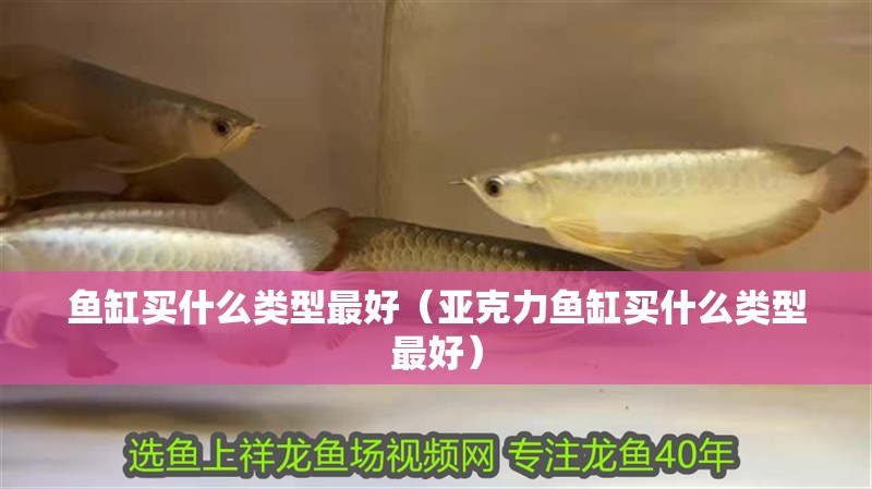魚缸買什么類型最好（亞克力魚缸買什么類型最好）