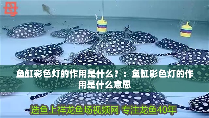 魚缸彩色燈的作用是什么？：魚缸彩色燈的作用是什么意思
