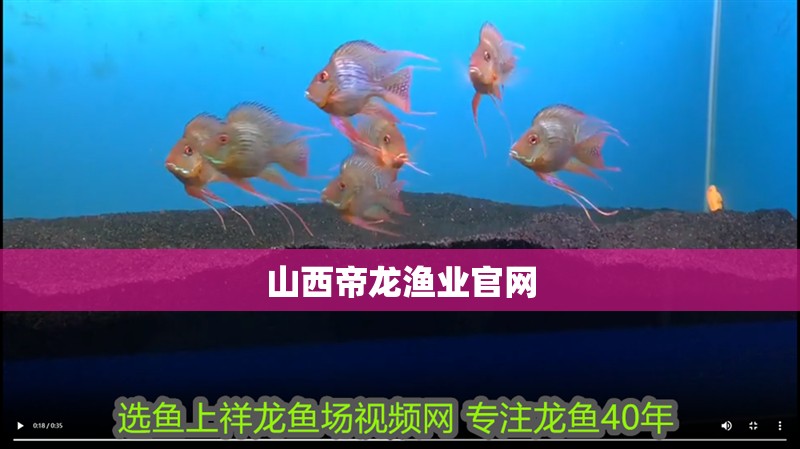 <strong><mark>山西</mark></strong>帝龍漁業官網