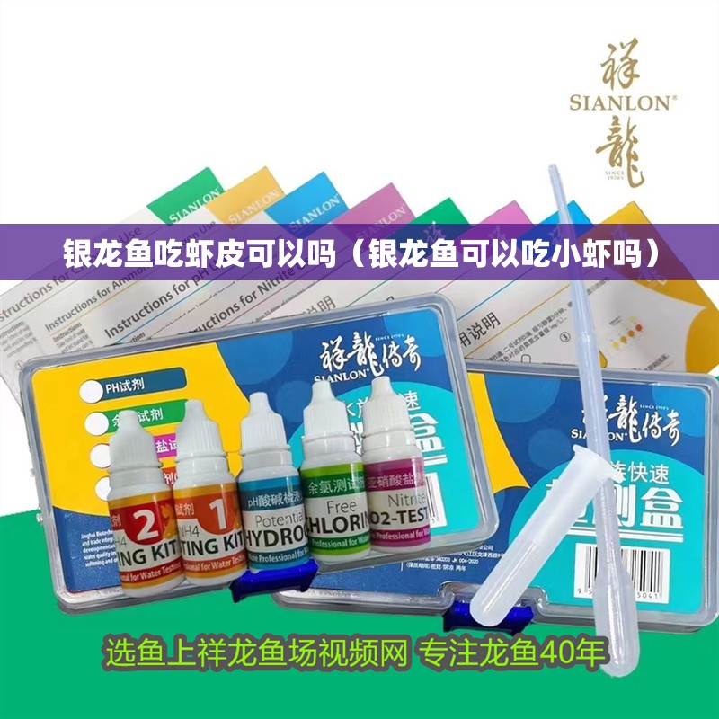 銀龍魚吃蝦皮可以嗎（銀龍魚可以吃小蝦嗎）