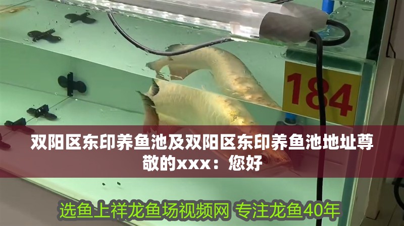 雙陽區(qū)東印養(yǎng)魚池及雙陽區(qū)東印養(yǎng)魚池地址尊敬的xxx：您好