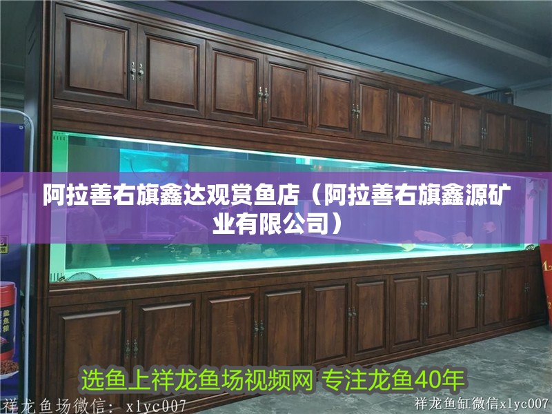 <strong><mark>阿拉善右旗</mark></strong>鑫達觀賞魚店（<strong><mark>阿拉善右旗</mark></strong>鑫源礦業有限公司）