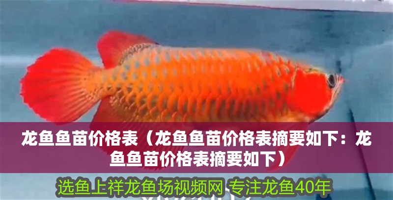 龍魚魚苗價格表（龍魚魚苗價格表摘要如下：龍魚魚苗價格表摘要如下）
