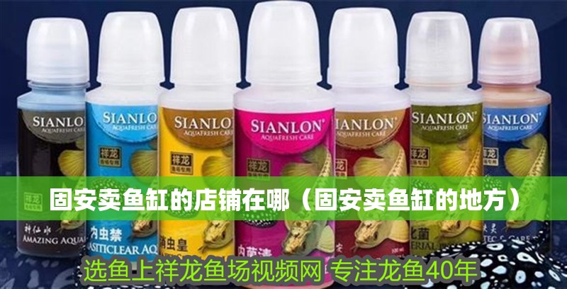 <strong><mark>固安</mark></strong>賣魚缸的店鋪在哪（<strong><mark>固安</mark></strong>賣魚缸的地方）