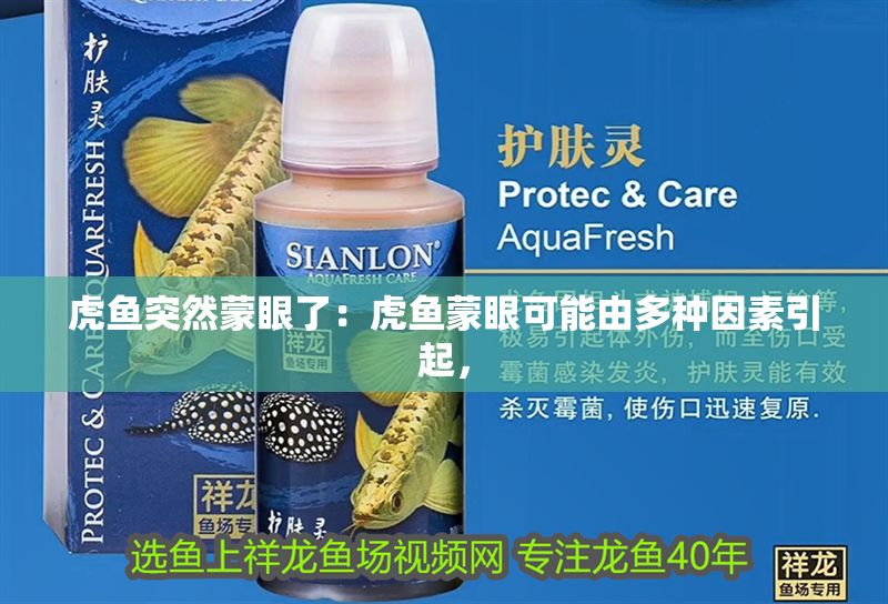 虎魚突然蒙眼了：虎魚蒙眼可能由多種因素引起，