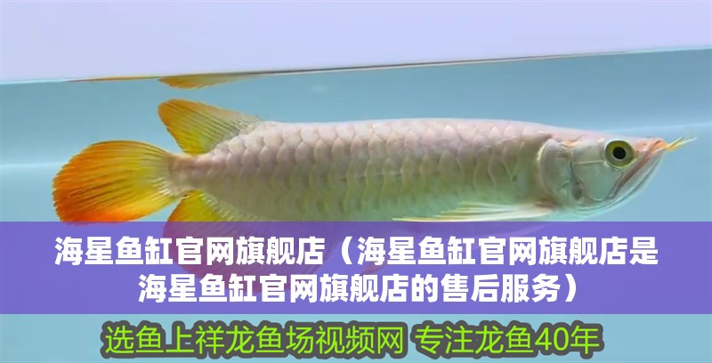 海星魚缸官網(wǎng)旗艦店（海星魚缸官網(wǎng)旗艦店是海星魚缸官網(wǎng)旗艦店的售后服務(wù)）