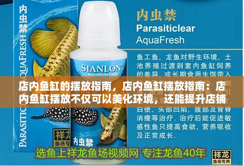 店內魚缸的擺放指南，店內魚缸擺放指南：店內魚缸擺放不僅可以美化環境，還能提升店鋪風水效應