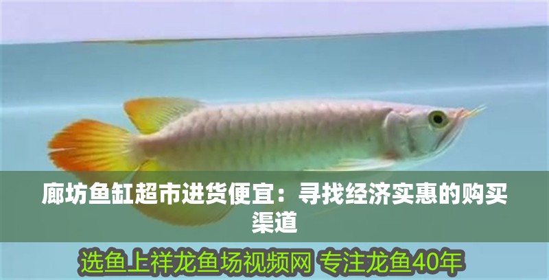 廊坊魚缸超市進(jìn)貨便宜：尋找經(jīng)濟(jì)實惠的購買渠道
