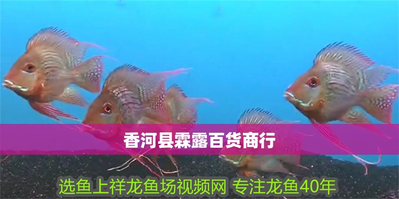 香河縣霖露百貨商行