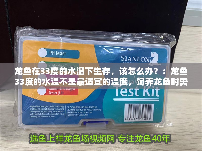 龍魚在33度的水溫下生存，該怎么辦？：龍魚33度的水溫不是最適宜的溫度，飼養龍魚時需要注意季節變化
