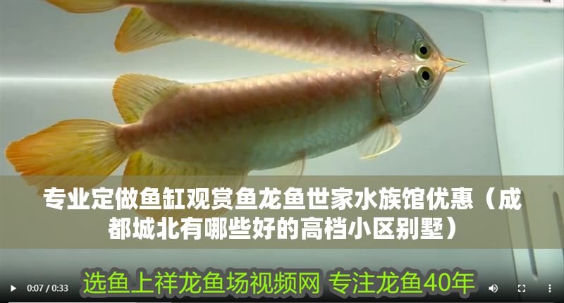 專業定做魚缸觀賞魚龍魚世家水族館優惠（成都城北有哪些好的高檔小區別墅）