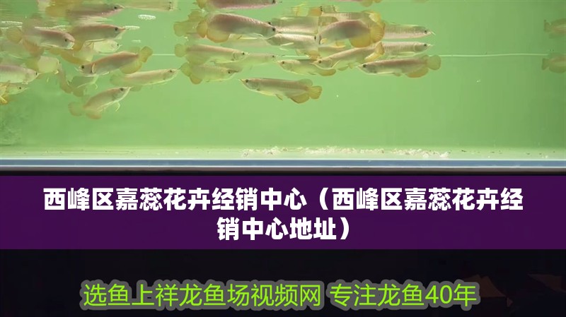 西峰區嘉蕊花卉經銷中心（西峰區嘉蕊花卉經銷中心地址）