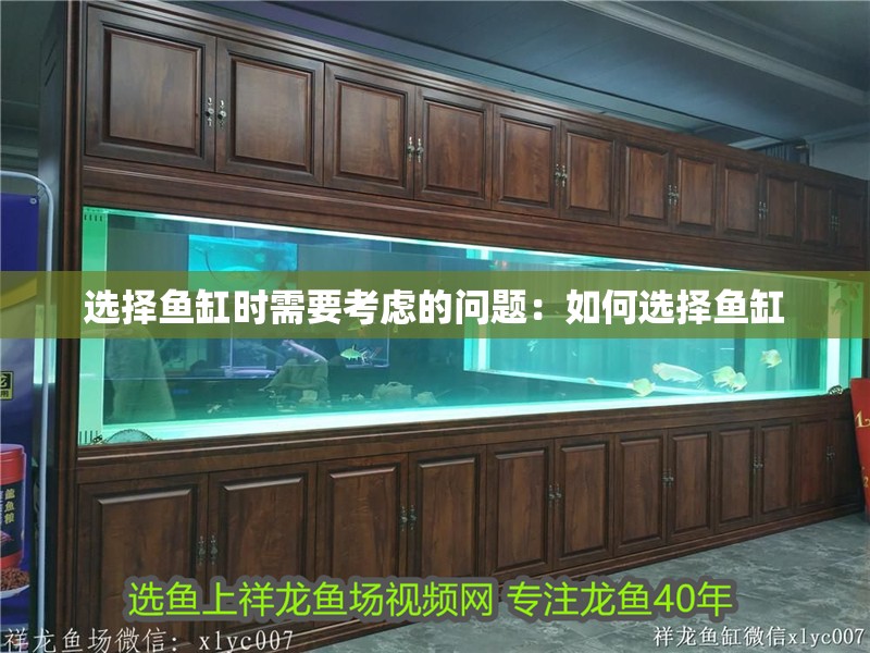 選擇魚缸時需要考慮的問題：如何選擇魚缸