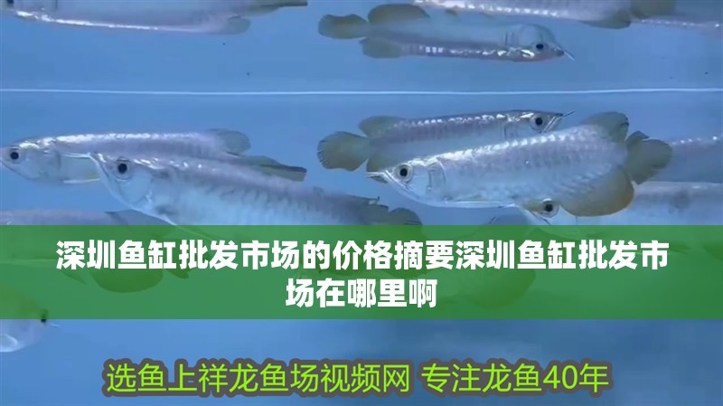 深圳魚缸批發市場的價格摘要深圳魚缸批發市場在哪里啊