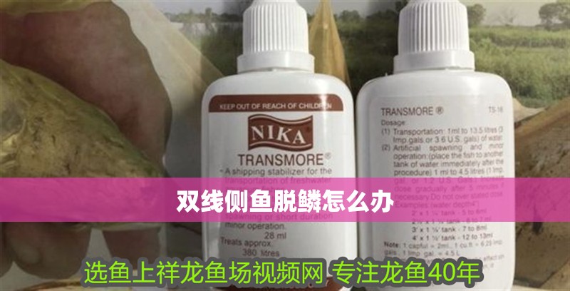 雙線側魚脫鱗怎么辦