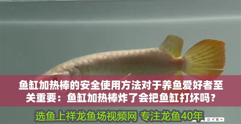 魚缸加熱棒的安全使用方法對于養魚愛好者至關重要：魚缸加熱棒炸了會把魚缸打壞嗎？