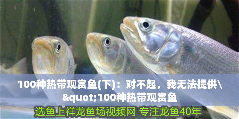 100種熱帶觀賞魚(下)：對不起，我無法提供\"100種熱帶觀賞魚