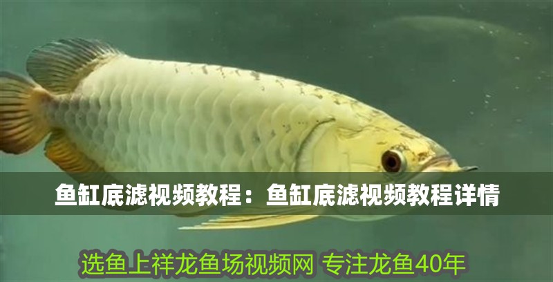魚(yú)缸底濾視頻教程：魚(yú)缸底濾視頻教程詳情