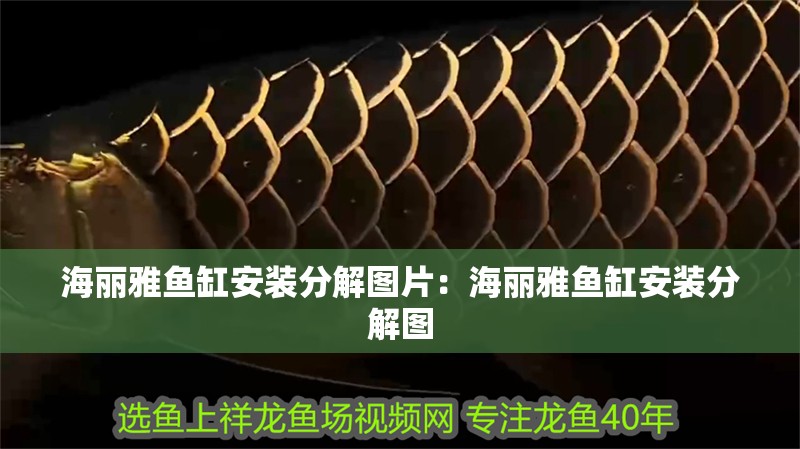 海麗雅魚缸安裝分解圖片：海麗雅魚缸安裝分解圖