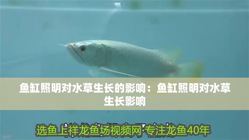 魚缸照明對水草生長的影響：魚缸照明對水草生長影響