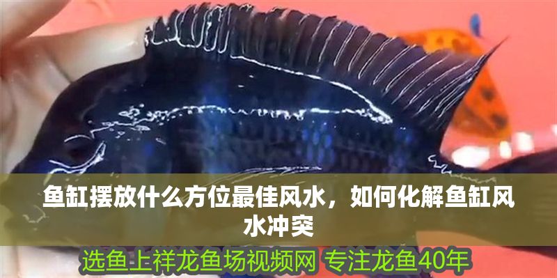 魚缸擺放什么方位最佳風水，如何化解魚缸風水沖突