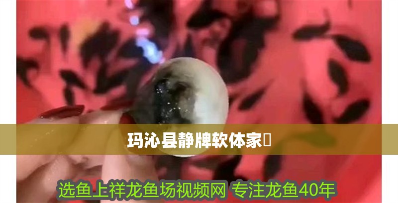 瑪沁縣靜牌軟體家俬