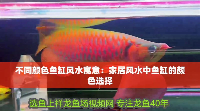 不同顏色魚缸風(fēng)水寓意：家居風(fēng)水中魚缸的顏色選擇