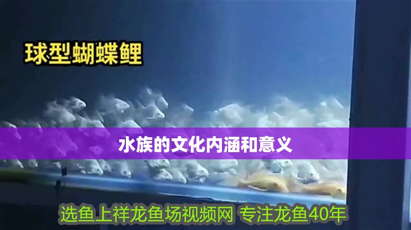 水族的文化內(nèi)涵和意義